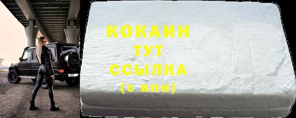 шишки Рославль
