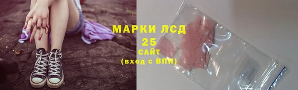 спиды Ростов